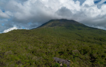 Jacamar Naturalist Tours5