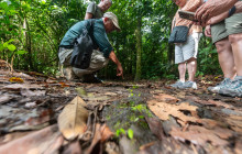 Jacamar Naturalist Tours2