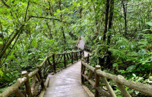 Jacamar Naturalist Tours4