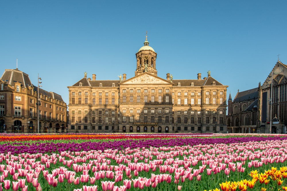 Amsterdam City Private Tour & Canal Cruise