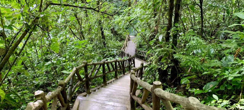 Hike & Nature: Arenal Hanging Bridges + La Fortuna Waterfall