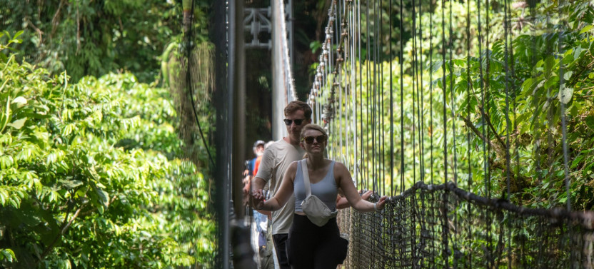 Hike & Nature: Arenal Hanging Bridges + La Fortuna Waterfall