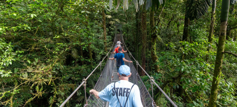 Hike & Nature: Arenal Hanging Bridges + La Fortuna Waterfall
