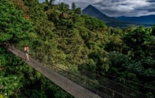 Jacamar Naturalist Tours7