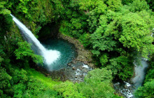 Jacamar Naturalist Tours2