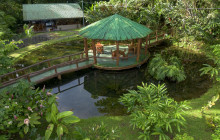 Jacamar Naturalist Tours4