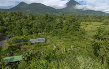 Jacamar Naturalist Tours5