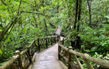 Jacamar Naturalist Tours6
