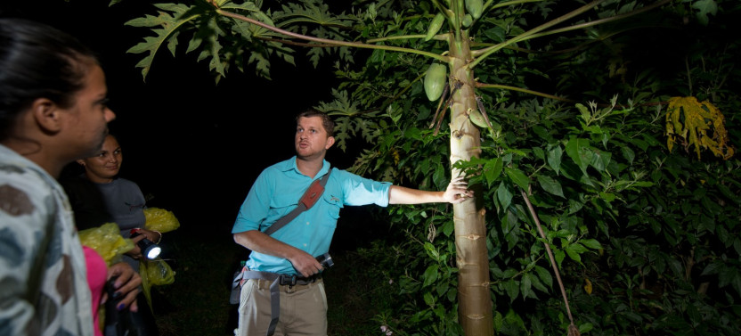 Nature Night Walk Twilight Tour