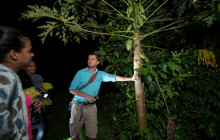 Jacamar Naturalist Tours3