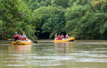 Jacamar Naturalist Tours1