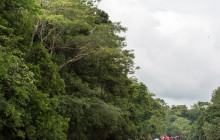 Jacamar Naturalist Tours5