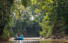 Jacamar Naturalist Tours1