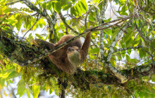 Jacamar Naturalist Tours2
