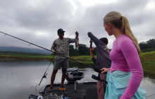 Jacamar Naturalist Tours4