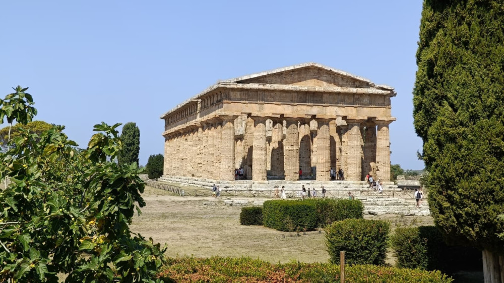 Paestum Ruins, Buffalo Mozzarella Lunch & Cilento Wine Experience