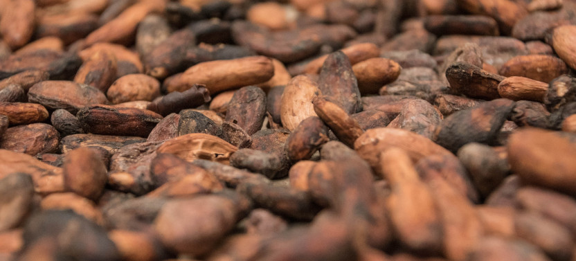 Traditional Chocolate Tour