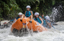 Jacamar Naturalist Tours1