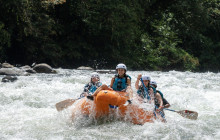 Jacamar Naturalist Tours3