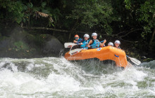 Jacamar Naturalist Tours6