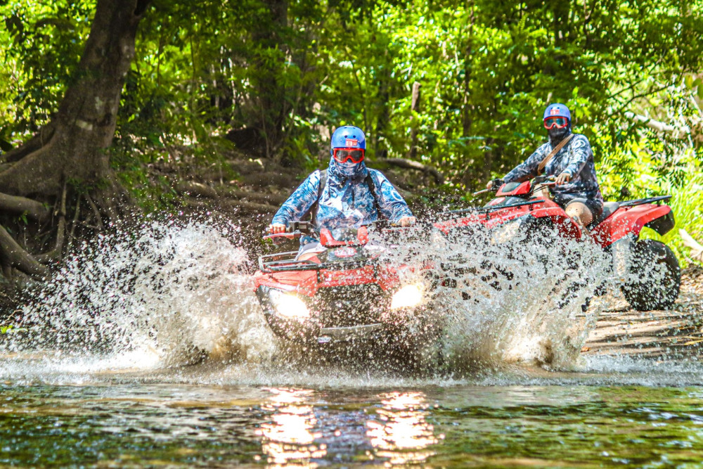 Jacamar Naturalist Tours