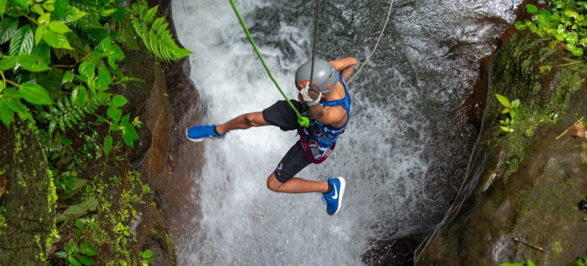 Rainforest Rappel - Wild Falls Adventure