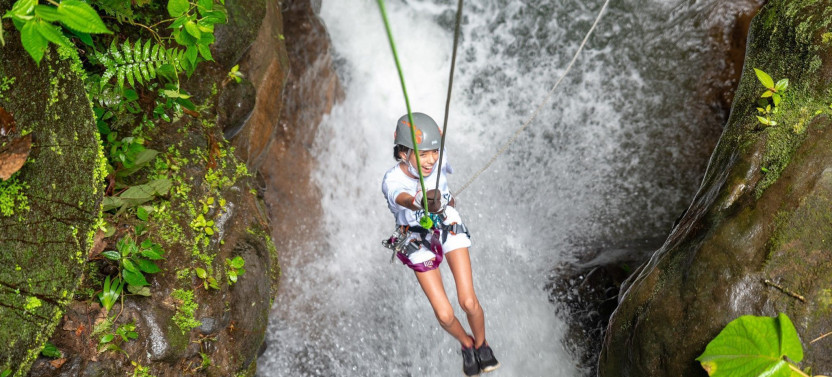 Rainforest Rappel - Wild Falls Adventure