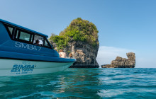 Simba Sea Trips Co. Ltd6
