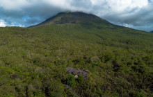 Jacamar Naturalist Tours4