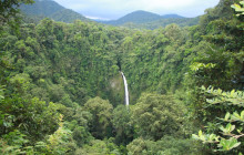 Jacamar Naturalist Tours9