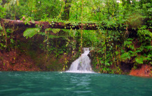 Jacamar Naturalist Tours4