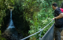 Jacamar Naturalist Tours5