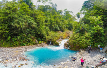 Jacamar Naturalist Tours6