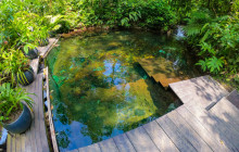 Jacamar Naturalist Tours7