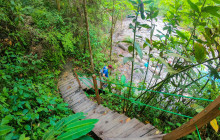 Jacamar Naturalist Tours10