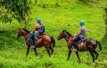 Jacamar Naturalist Tours7