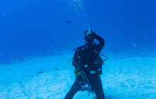 The Dive Machine4