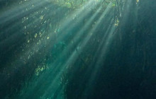 The Dive Machine3