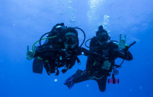 The Dive Machine10