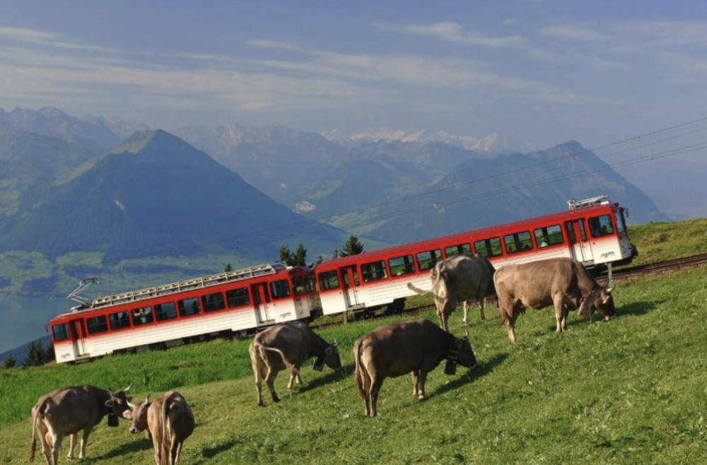 Best of Switzerland Tours AG