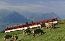 Best of Switzerland Tours AG13