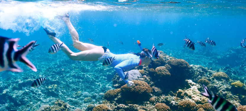 Luxury Private Speed Boat Charter – Coral Delight by Simba Sea Trips