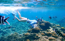 Simba Sea Trips Co. Ltd1