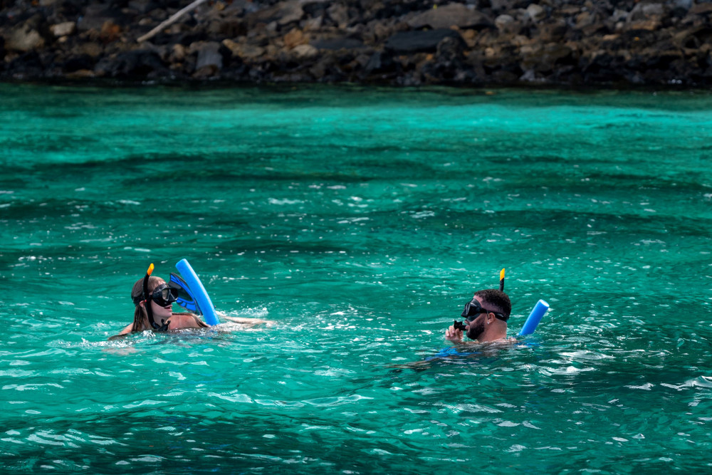 Luxury Private Speed Boat Charter – Coral Delight by Simba Sea Trips