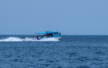 Simba Sea Trips Co. Ltd6