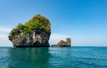 Simba Sea Trips Co. Ltd10