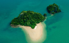 Simba Sea Trips Co. Ltd10