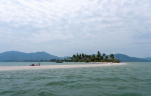 Simba Sea Trips Co. Ltd4