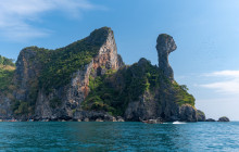 Simba Sea Trips Co. Ltd5