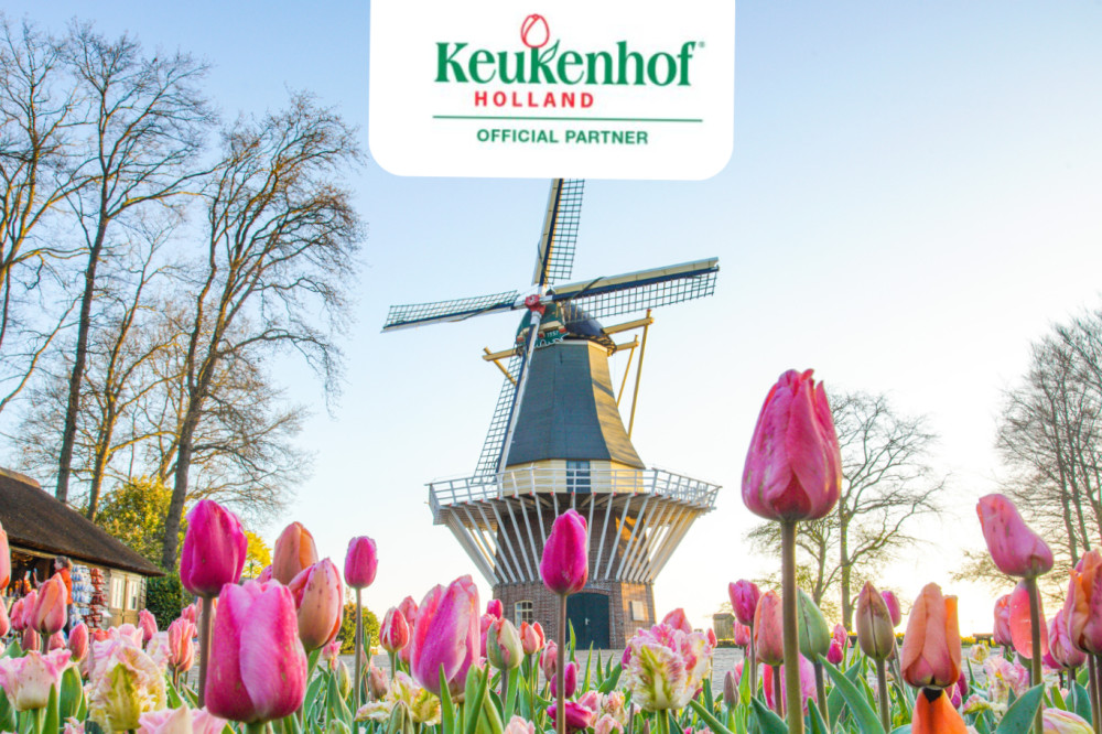 Keukenhof Transfer plus Full Day Entrance Keukenhof
